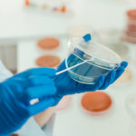 Kit analisi microbiologiche delle superfici - 5 piastre a contatto